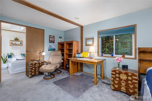 161 N Dow Mountain Rd, Hoodsport, WA 98548 - carpeted office with a textured ceiling