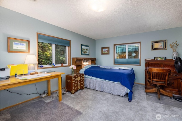 161 N Dow Mountain Rd, Hoodsport, WA 98548 - bedroom with baseboards, carpet floors, and a textured ceiling