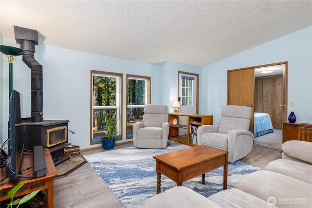 161 N Dow Mountain Rd, Hoodsport, WA 98548 - living area featuring lofted ceiling, a textured ceiling, wood finished floors, and a wood stove