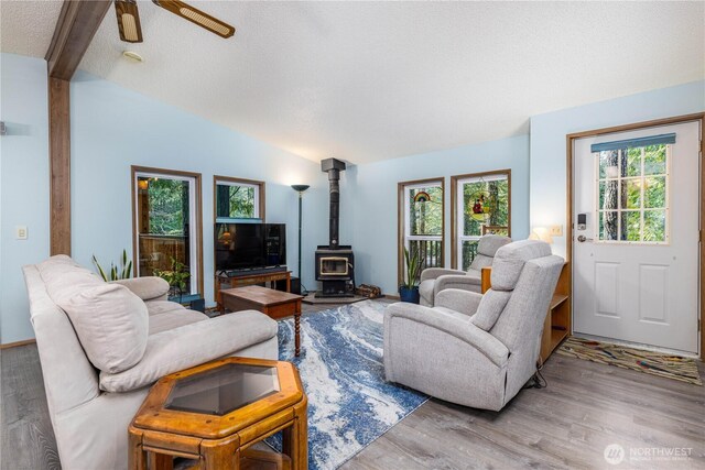161 N Dow Mountain Rd, Hoodsport, WA 98548 - living area with lofted ceiling, a wood stove, a textured ceiling, a ceiling fan, and wood finished floors