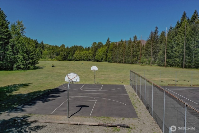 161 N Dow Mountain Rd, Hoodsport, WA 98548 - view of basketball court featuring a lawn, community basketball court, a view of trees, and fence