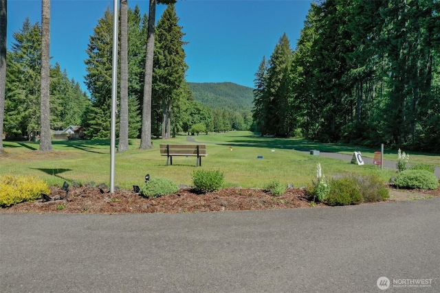 161 N Dow Mountain Rd, Hoodsport, WA 98548 - view of community featuring a lawn and a mountain view