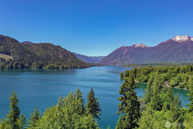 161 N Dow Mountain Rd, Hoodsport, WA 98548 - water view featuring a mountain view and a view of trees
