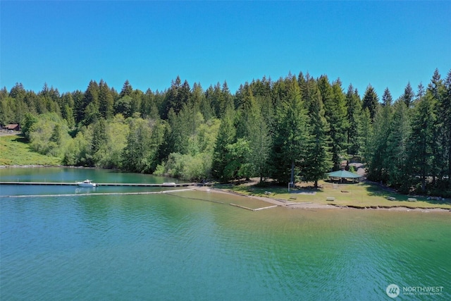 161 N Dow Mountain Rd, Hoodsport, WA 98548 - view of water feature featuring a forest view