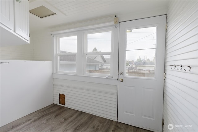entryway featuring dark wood-style floors and a wealth of natural light