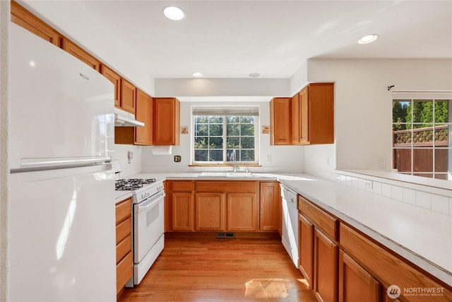 kitchen featuring light countertops, white appliances, under cabinet range hood, a sink, and light wood-type flooring