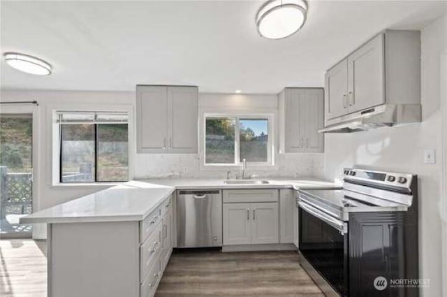 10601 55th Ave S, Seattle, WA 98178 - kitchen featuring gray cabinets, a sink, a peninsula, under cabinet range hood, and stainless steel appliances