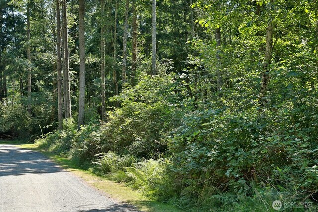 0LOT9 Evergreen Ln, Freeland, WA 98249 - photo 4