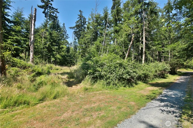 0LOT9 Evergreen Ln, Freeland, WA 98249 - photo 3