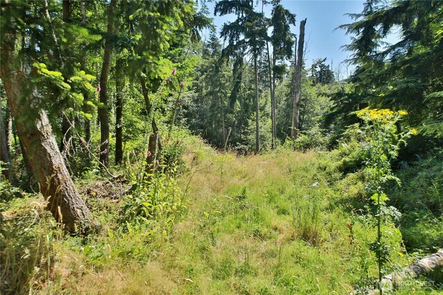 0LOT9 Evergreen Ln, Freeland, WA 98249 - photo 1