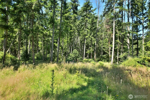 0LOT9 Evergreen Ln, Freeland, WA 98249 - photo 7