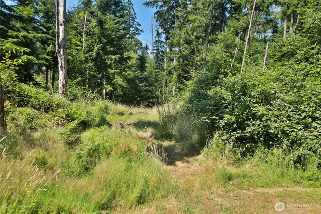 0LOT9 Evergreen Ln, Freeland, WA 98249 - photo 10