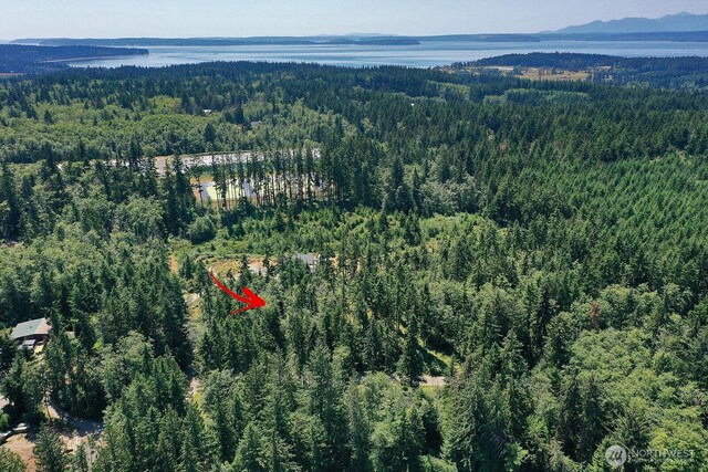 0LOT9 Evergreen Ln, Freeland, WA 98249 - photo 15
