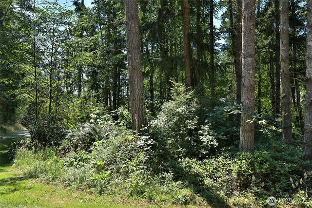 0LOT9 Evergreen Ln, Freeland, WA 98249 - photo 16