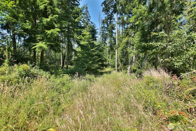 0LOT9 Evergreen Ln, Freeland, WA 98249 - photo 19