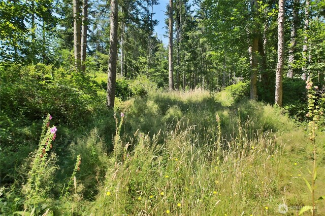 0LOT9 Evergreen Ln, Freeland, WA 98249 - photo 20