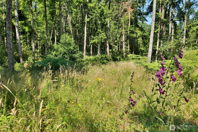 0LOT9 Evergreen Ln, Freeland, WA 98249 - photo 21