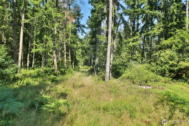0LOT9 Evergreen Ln, Freeland, WA 98249 - photo 22