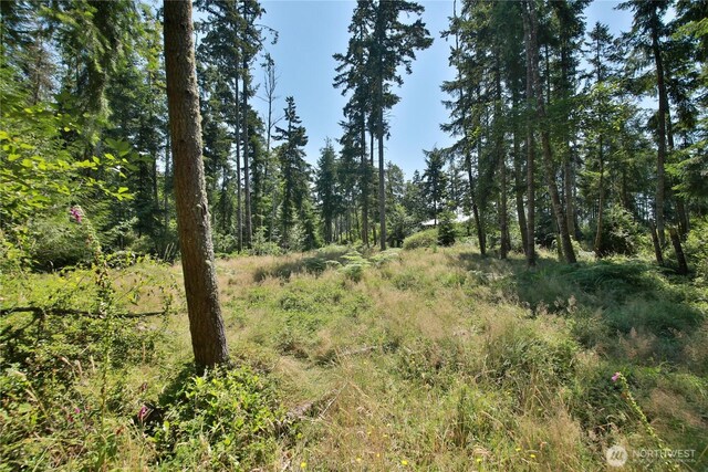 0LOT9 Evergreen Ln, Freeland, WA 98249 - photo 23