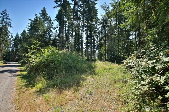 0LOT9 Evergreen Ln, Freeland, WA 98249 - photo 24