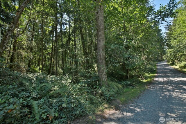 0LOT9 Evergreen Ln, Freeland, WA 98249 - photo 25