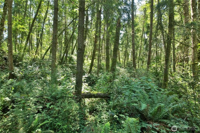 0LOT9 Evergreen Ln, Freeland, WA 98249 - photo 26