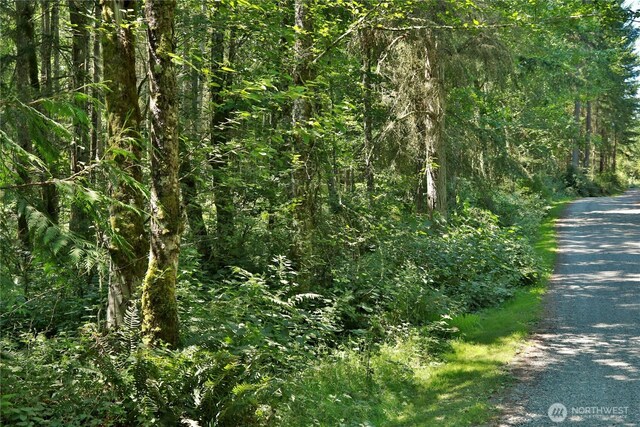 0LOT9 Evergreen Ln, Freeland, WA 98249 - photo 27