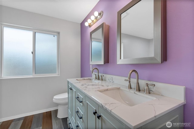 full bath featuring double vanity, a sink, toilet, and wood finished floors