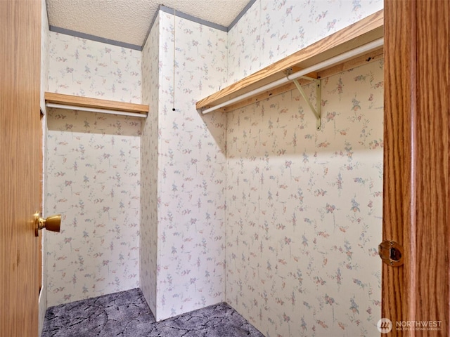 1850 Heartwood Dr, Woodland, WA 98674 - view of spacious closet