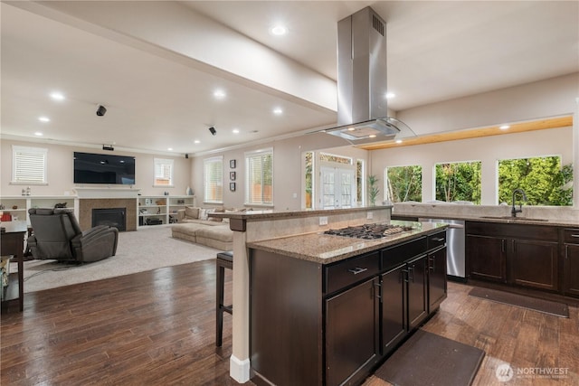 kitchen with a sink, a kitchen breakfast bar, stainless steel appliances, island range hood, and dark wood-type flooring