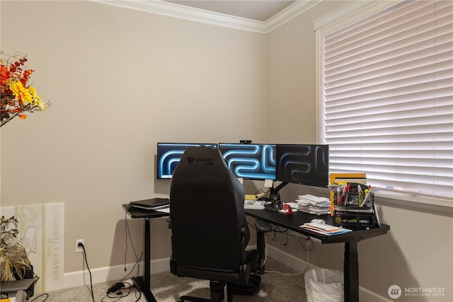 carpeted office space featuring ornamental molding and baseboards