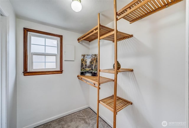 7868 Green Lake Dr N Unit 9, Seattle, WA 98103 - photo 10