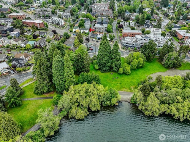 7868 Green Lake Dr N Unit 9, Seattle, WA 98103 - photo 21