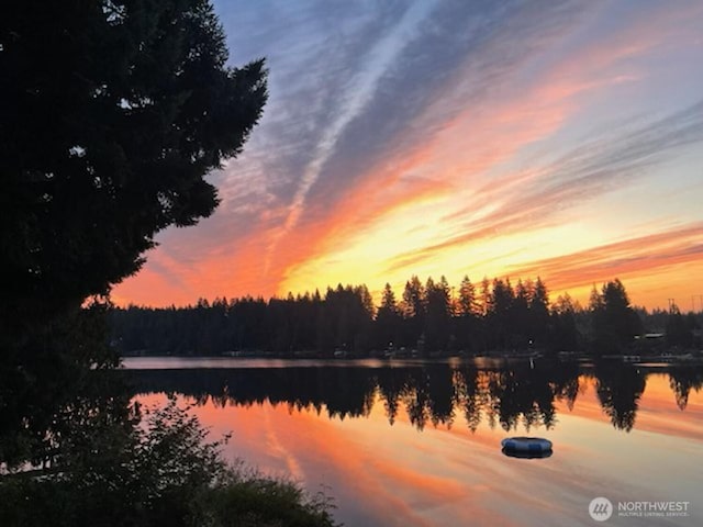 900 E Benson Lake Dr, Grapeview, WA 98546 - water view with a heavily wooded area