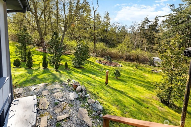 view of yard