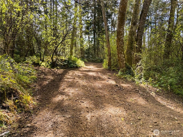 view of street featuring a wooded view