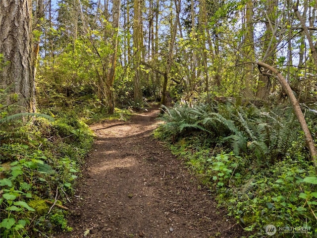 view of landscape featuring a forest view