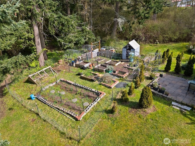 drone / aerial view