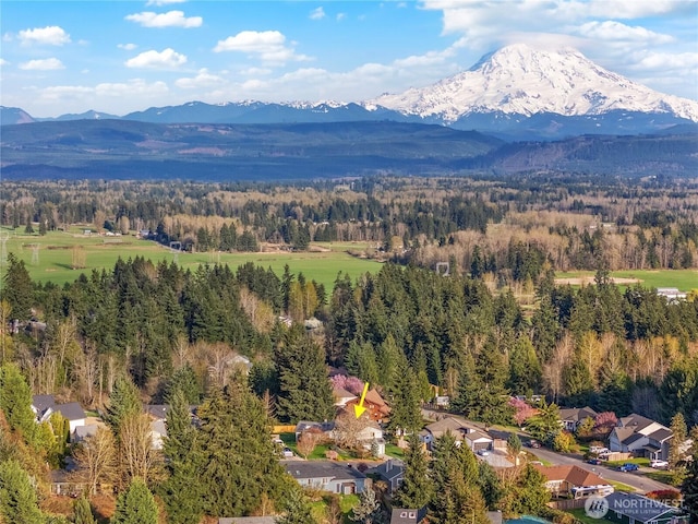 25405 103rd Ave E, Graham, WA 98338 - photo 34