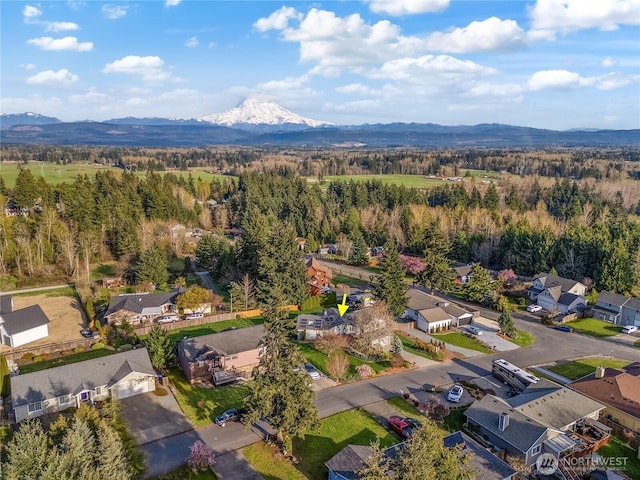 25405 103rd Ave E, Graham, WA 98338 - photo 36