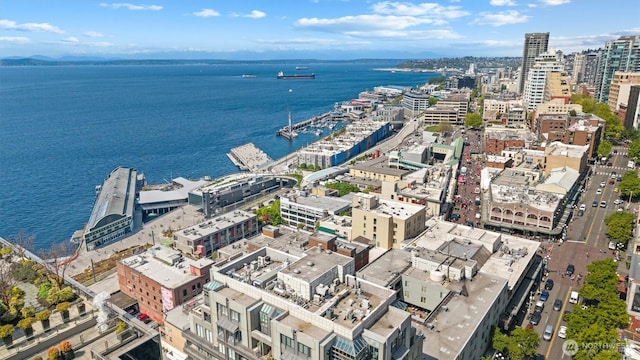 drone / aerial view with a view of city and a water view