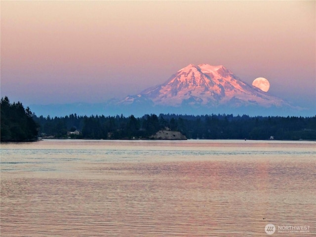 9716 Hunter Point Rd NW, Olympia, WA 98502 - water view with a forest and mountains