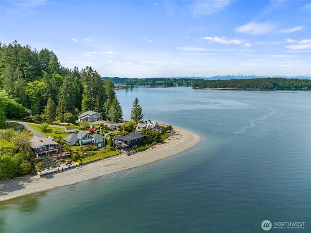 9716 Hunter Point Rd NW, Olympia, WA 98502 - drone / aerial view of a large body of water and a heavily wooded area