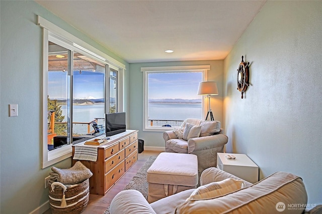 987 Cavalero Rd, Camano Island, WA 98282 - living area featuring plenty of natural light, light wood-style flooring, and baseboards