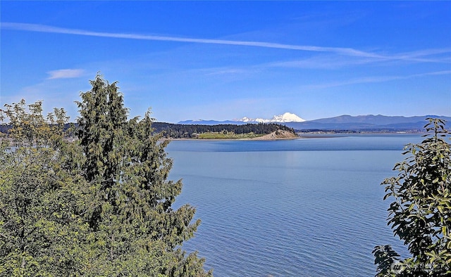 987 Cavalero Rd, Camano Island, WA 98282 - water view featuring a mountain view