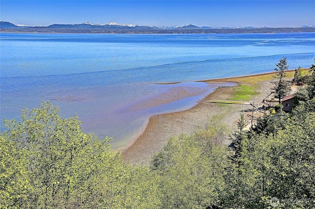 987 Cavalero Rd, Camano Island, WA 98282 - property view of water featuring a mountain view
