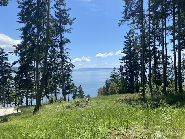 1417 Sergios View Ln, Oak Harbor, WA 98277 - photo 1