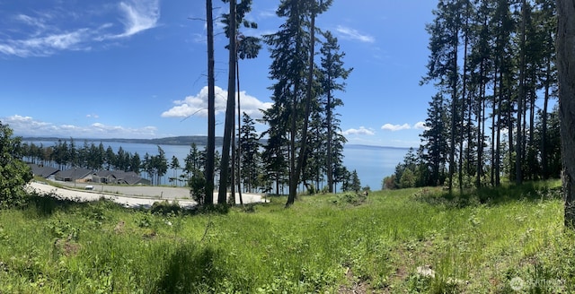 1417 Sergios View Ln, Oak Harbor, WA 98277 - photo 2