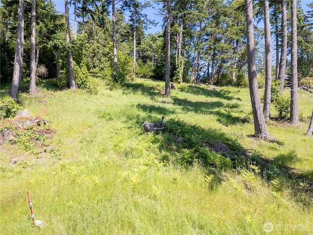 1417 Sergios View Ln, Oak Harbor, WA 98277 - photo 3