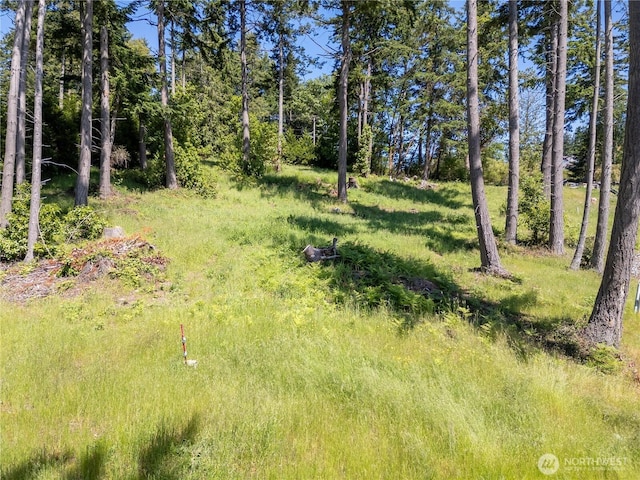 1417 Sergios View Ln, Oak Harbor, WA 98277 - photo 4